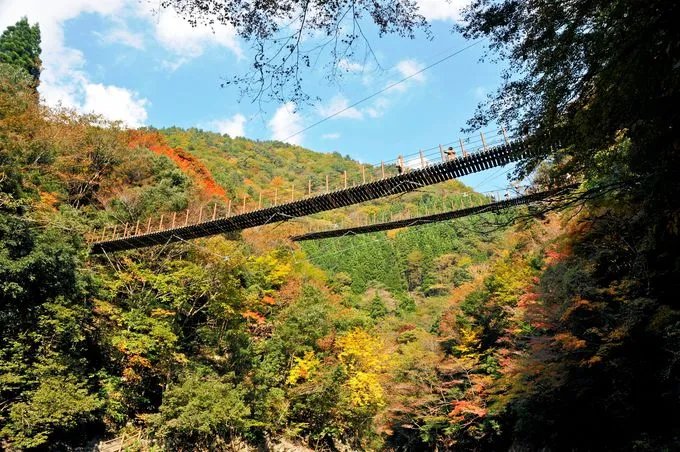 🌉 모미기 현수교 (모미기 쓰리바시) 이미지 1